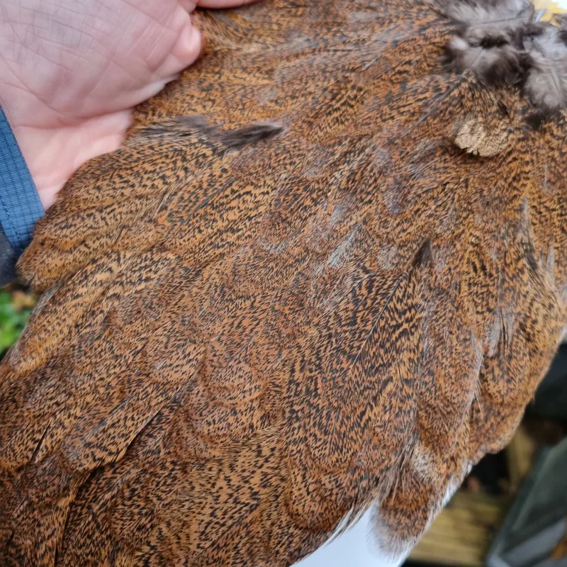 Whiting Coq de Leon Hen Saddle in Natural Ginger Speckled-3